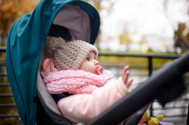 Sonbahar parkında bebek arabasında yürüyüş. Mavi sandalyede oturan, sıcak giysili sevimli küçük kız. Bebek arabasında meme ucu olan çocuk