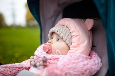 Sonbahar parkında bebek arabasında yürüyüş. Mavi sandalyede oturan, sıcak giysili sevimli küçük kız. Bebek arabasında meme ucu olan çocuk