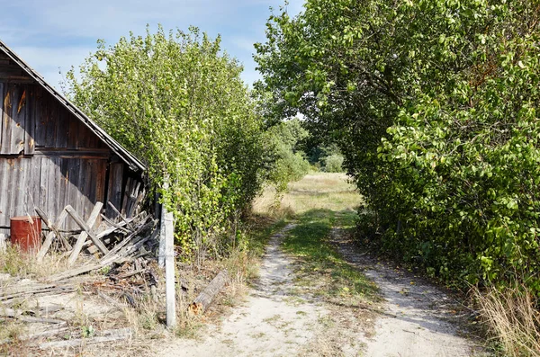 Verlaten Schuur Het Platteland Weg Met Bomen Aan Zijkant — Stockfoto
