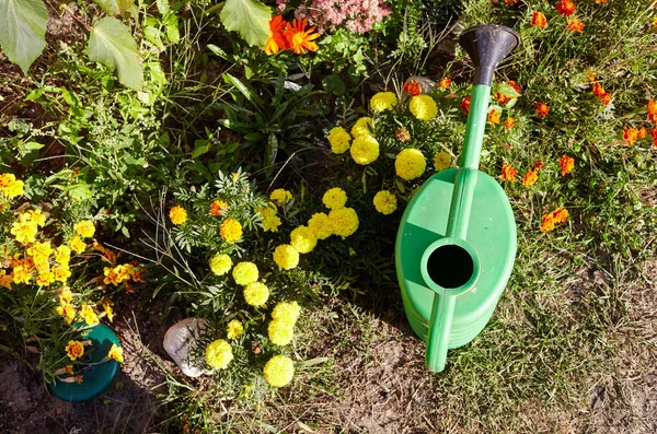 Grüne Plastikgießkanne Hinterhof Konzept Der Gartenarbeit — Stockfoto