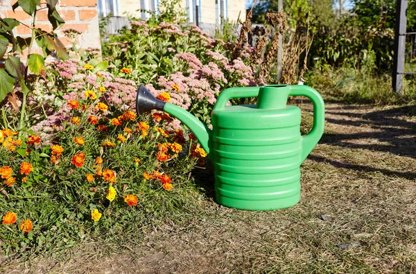 Grüne Plastikgießkanne Hinterhof Konzept Der Gartenarbeit — Stockfoto