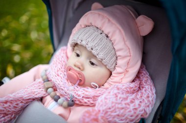 Sonbahar parkında bebek arabasında yürüyüş. Mavi sandalyede oturan, sıcak giysili sevimli küçük kız. Bebek arabasında meme ucu olan çocuk