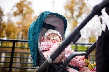 Sonbahar parkında bebek arabasında yürüyüş. Mavi sandalyede oturan, sıcak giysili sevimli küçük kız. Bebek arabasında meme ucu olan çocuk