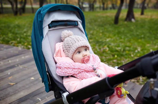 Baby Kinderwagen Een Wandeling Het Najaarspark Schattig Klein Meisje Warme — Stockfoto