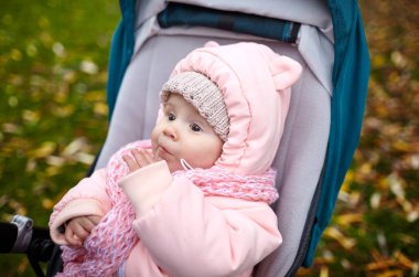 Sonbahar parkında bebek arabasında yürüyüş. Mavi sandalyede oturan, sıcak giysili sevimli küçük kız. Bebek arabasındaki çocuk