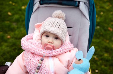 Sonbahar parkında bebek arabasında yürüyüş. Mavi sandalyede oturan, sıcak giysili sevimli küçük kız. Bebek arabasında meme ucu olan çocuk