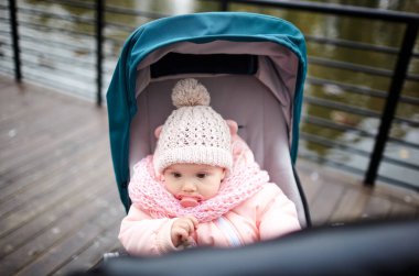 Sonbahar parkında bebek arabasında yürüyüş. Mavi sandalyede oturan, sıcak giysili sevimli küçük kız. Bebek arabasında meme ucu olan çocuk