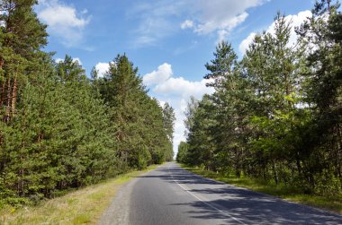 Asfalt kıvrımlı banliyö yolu. Kırsal Avrupa 'da bir viraj yolu