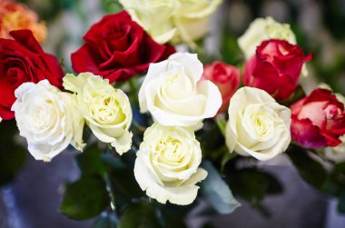 Çiçekçi dükkanındaki taze gül buketinin bulanık görüntüsü. Bahar çiçeği demeti. Romantik randevu için bir hediye. Yumuşak bahar çiçekleri.