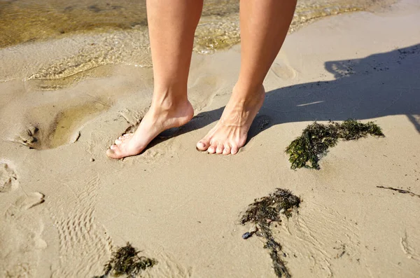 Close up of woman feet walking barefoot on sand beach in sea water. Vacation, travel and freedom concept