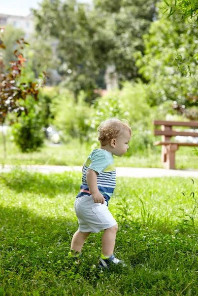 Rapazinho Andar Parque Conceito Uma Infância Feliz Recreação Livre Verão — Fotografia de Stock