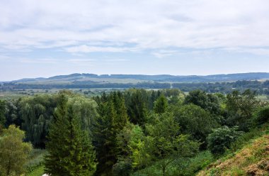 Otlaklar, ağaçlar ve yuvarlanan tepeler. Kırsal manzaranın güzelliği, bulutlu gökyüzünün altındaki tepeler.