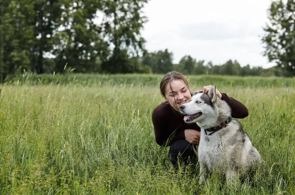 Menina Proprietária Brincando Com Seu Husky Siberiano Campo Feliz Mulher — Fotografia de Stock