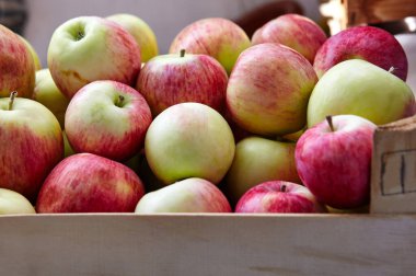 Taze elmalarla dolu tahta sandık. Taze organik elma toplama kavramının genel görünümü