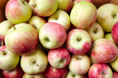 Piyasada bir sürü taze organik elma. Taze organik elmaların yukarıdan görünüşü. Sağlıklı yeme kavramı