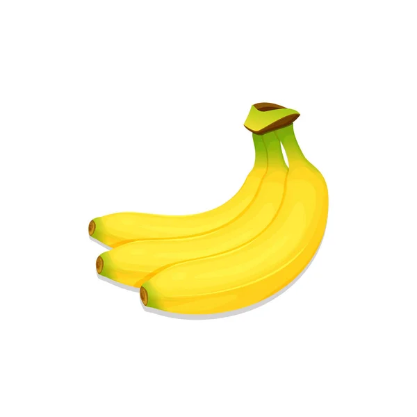 Vecteur Banane Isolé Sur Fond Blanc — Image vectorielle