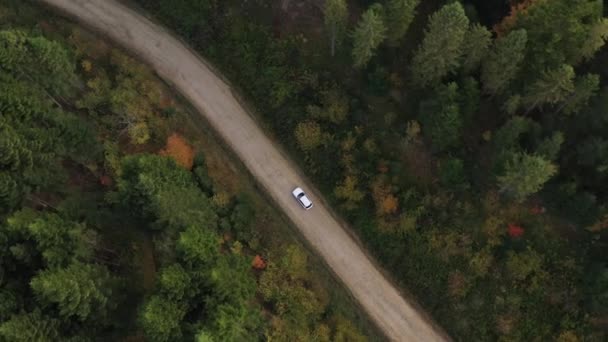野生の森を駆け抜ける白い車のトップダウン映画の景色 カルパチアの森の中で早朝 カラフルな木 秋のシーズン ウクライナの野生の自然と風景 車でウクライナを旅する 友達との車旅行 — ストック動画