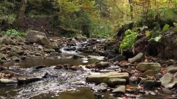 Dron Letící Nad Horskou Řekou Karpatském Lese Horní Anténa Zblízka — Stock video