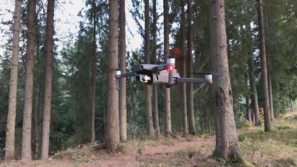ドローンは野生のカルパチアの森で引き継ぎます 新しい技術だ ウクライナ — ストック動画