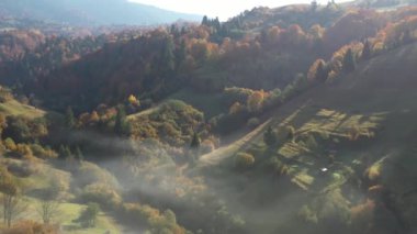 Sonbahar Karpat Ormanı sinematik hava manzarası. İnsansız hava aracı vahşi sonbahar ormanlarında uçuyor. 4K İHA görüntüleri. Yukarıdan Ukrayna köyü