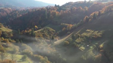 Sonbahar Karpat Ormanı sinematik hava manzarası. İnsansız hava aracı vahşi sonbahar ormanlarında uçuyor. 4K İHA görüntüleri. Yukarıdan Ukrayna köyü