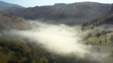 Sonbahar Karpat Ormanı sinematik hava manzarası. İnsansız hava aracı vahşi sonbahar ormanlarında uçuyor. 4K İHA görüntüleri. Yukarıdan Ukrayna köyü