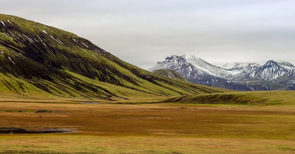 Paisagem Verde Amarela Com Montanhas Geladas Fundo Islândia — Fotografia de Stock