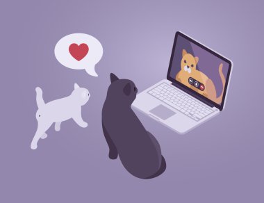 Kediler internet konuşma