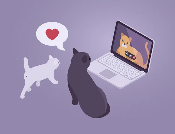 Gatos conversación en Internet — Vector de stock