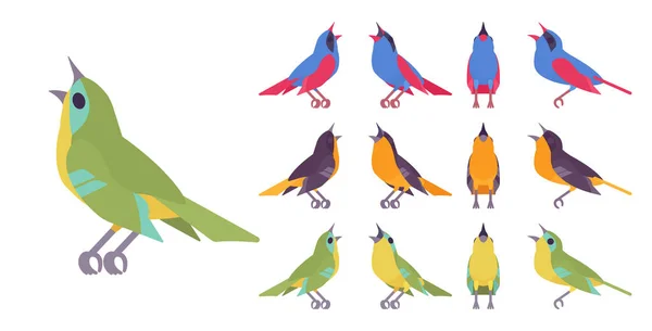 Set di uccelli canterini, vari uccellini musicali in bellissimi colori — Vettoriale Stock