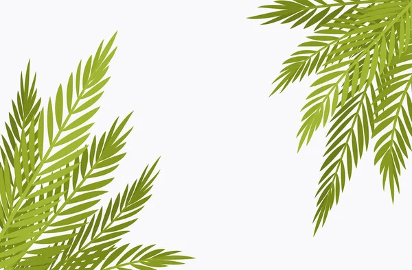 Fond d'angle de palmier, copyspace pour décor à thème tropical — Image vectorielle