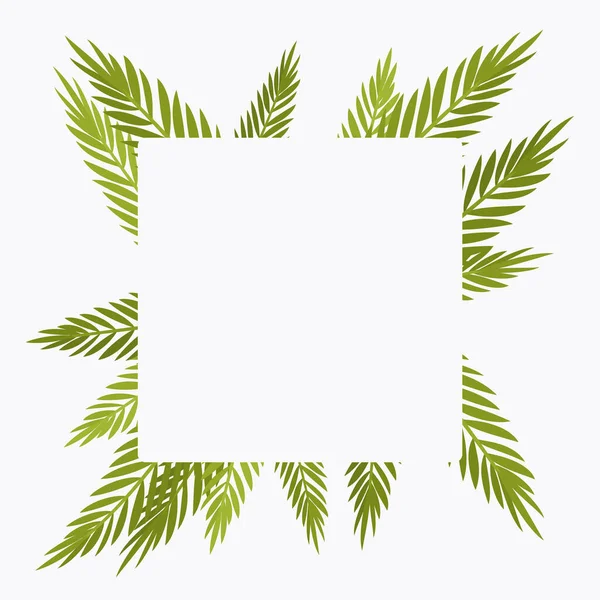 Palmiye ağacı kare arkaplan, tropikal temalı kart dekorasyonu için telif alanı — Stok Vektör