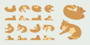 İzometrik kırmızı yalancı kedi