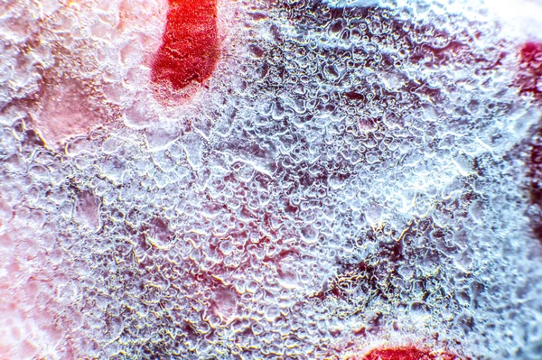 Frozen Strawberries Texture Close Cold Fruit Snow — Stock Photo, Image