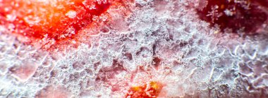 Donmuş çilek dokusu. Kapatın. Karda soğuk meyve.