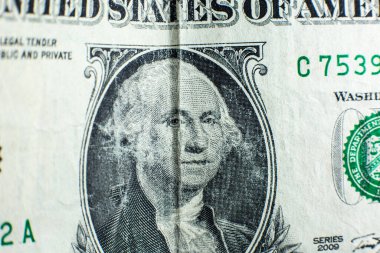 Amerikan doları yakın plan fotoğrafı. Makro banknotlar.