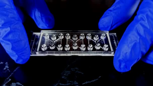 Test Obecność Koronawirusu Celu Wytworzenia Szczepionki Naukowcy Badający Covid Miejsce — Wideo stockowe