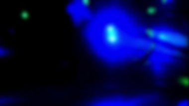 Noel ışıkları videoyu bulanıklaştırdı. Akşamları sıcacık oluyor. Şenlik zamanı. Tatil kavramı.  