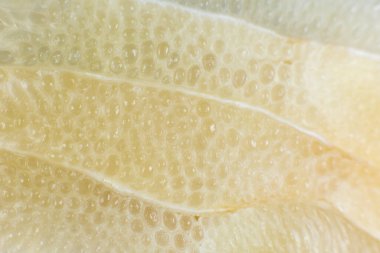 Beyaz arka planda greyfurt dokusu var. Citrus yakın çekim fotoğrafı. Sağlıklı bir yaşam tarzı fotoğrafı. Güzel duvar kağıdı. Vejetaryen ve vejetaryen kavramı. Doğadan gelen vitaminler.