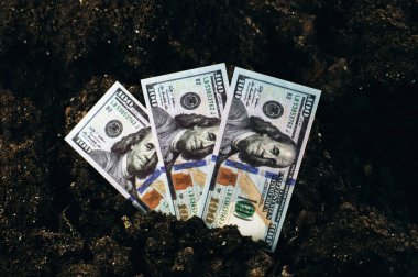 Toprakta kayıp Amerikan doları. ABD 'de ekonomik kriz. Para birimi devalüasyonu ve enflasyon. Coronavirüs krizi.