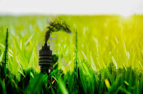 Znečištění Přírody Továrny Smogem Nebezpečný Kouř Vzduchu Zelená Tráva Pozadí — Stock fotografie