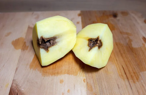 Verwende Rotte Aardappelen Ziekte Knolziekte Aardappel Geïnfecteerd Met Schimmelziekte — Stockfoto