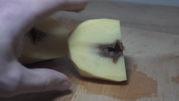 Verwende Rotte Aardappelen Ziekte Knolziekte Aardappel Geïnfecteerd Met Schimmelziekte — Stockvideo