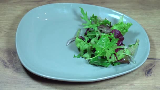 Kobieta Kładąca Sałatkę Talerzu Świeże Smaczne Danie Zieloną Salatą Rukolą — Wideo stockowe