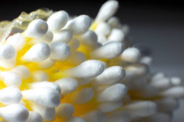 Beyaz arka planda kulak pamuğu örnekleri.