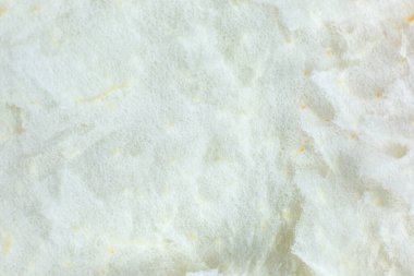 Greyfurdun içinde beyaz kabuk dokusu. Bej doğal arkaplan.