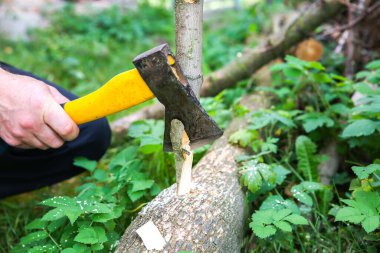 Adam açık havada odun kesiyor. Köyde odunla çalışıyor..