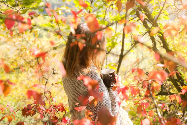 Smuk Pige Drikker Kaffe Efterårsskoven Kop Med Varm Drik Hyggeligt - Stock-foto