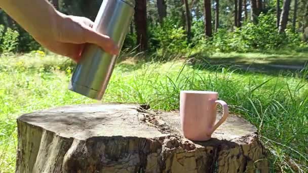 Traveler Man Pouring Coffee Thermos Pink Cup Stump Outdoors Vacation — Stock Video