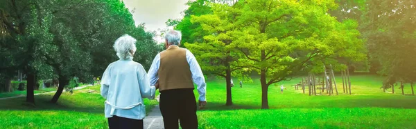 Happy old age senior couple love story. Peole is walking in the green park. Grandmother and grandfather holding hands. Elderly people lifestyle.